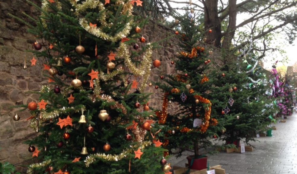 Charity Christmas Tree Festival opening The Exeter Daily